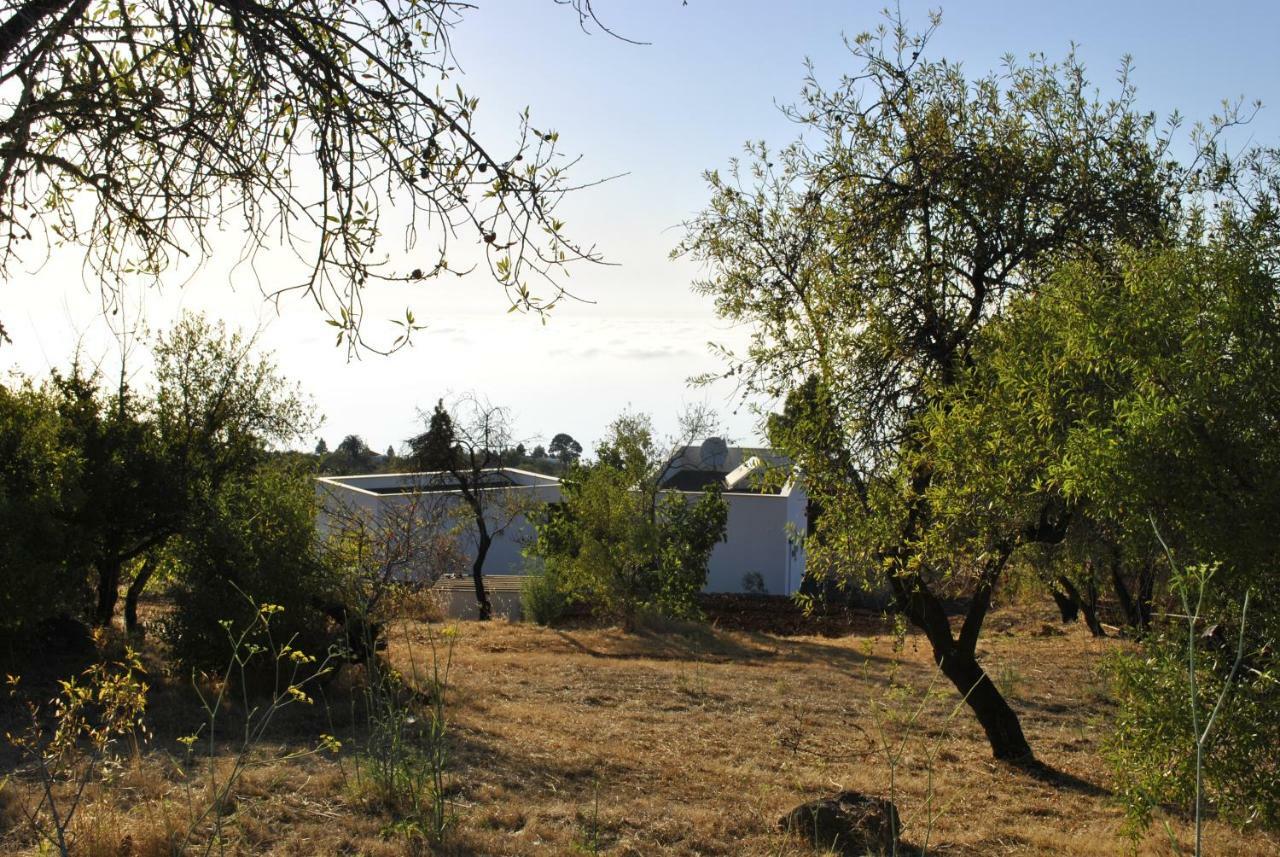 Villa Horizonte Puntagorda Eksteriør billede